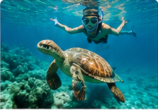 Hawaii travel guide